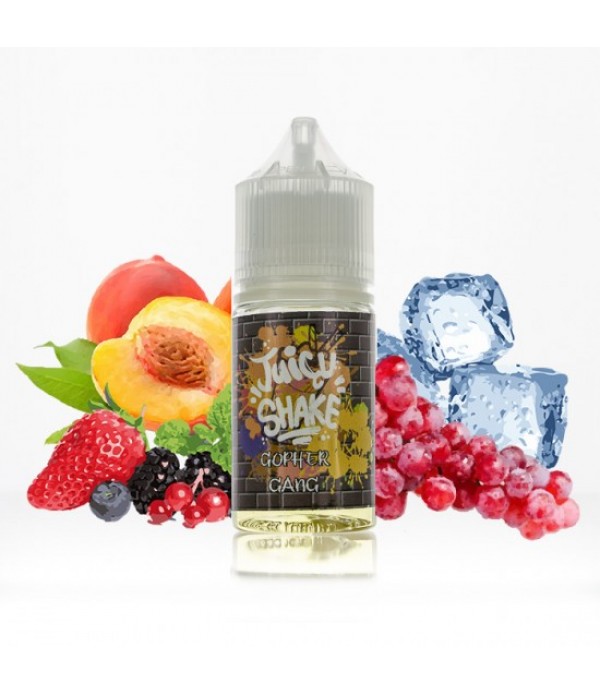 CONCENTRE GOPHER GANG 30ML JUICY SHAKE