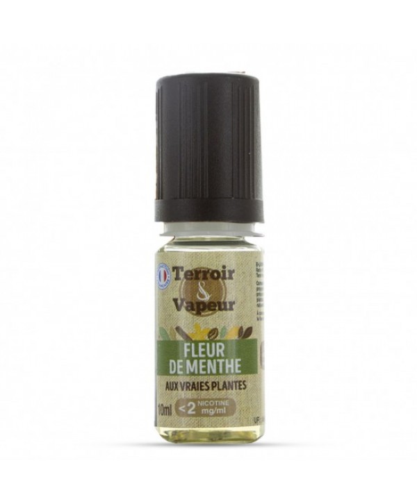 FLEUR DE MENTHE 10ML TERROIR ET VAPEUR